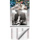 CALENDARIO LANA