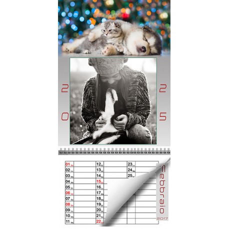 CALENDARIO LANA
