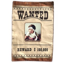 PLAID WANTED